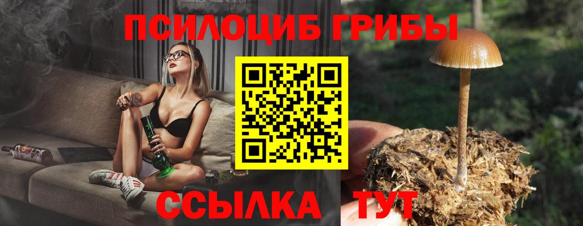 Псилоцибиновые грибы прущие грибы Гудермес